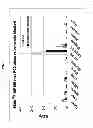 Fig. 04 - Methods and compositions for improved F-18 labeling of proteins, peptides and other molecules