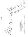 Fig. 14 - Methods and compositions for improved F-18 labeling of proteins, peptides and other molecules