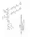 Fig. 17 - Methods and compositions for improved F-18 labeling of proteins, peptides and other molecules