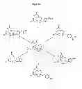 Fig. 22 - Methods and compositions for improved F-18 labeling of proteins, peptides and other molecules