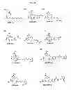 Fig. 24 - Methods and compositions for improved F-18 labeling of proteins, peptides and other molecules