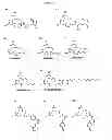Fig. 25 - Methods and compositions for improved F-18 labeling of proteins, peptides and other molecules