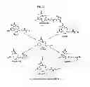 Fig. 32 - Methods and compositions for improved F-18 labeling of proteins, peptides and other molecules