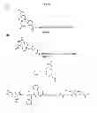 Fig. 33 - Methods and compositions for improved F-18 labeling of proteins, peptides and other molecules