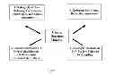 Fig. 02 - MODIFIED AND DERIVATIZED ß-GLUCAN COMPOUNDS, COMPOSITIONS, AND METHODS