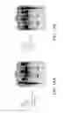 Fig. 121 - Antigen binding proteins to proprotein convertase subtilisin kexin type 9 (PCSK9)