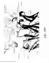 Fig. 124 - Antigen binding proteins to proprotein convertase subtilisin kexin type 9 (PCSK9)