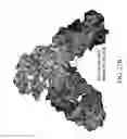 Fig. 146 - Antigen binding proteins to proprotein convertase subtilisin kexin type 9 (PCSK9)