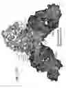 Fig. 148 - Antigen binding proteins to proprotein convertase subtilisin kexin type 9 (PCSK9)
