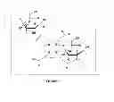 Fig. 08 - Compositions, methods of synthesis and use of carbohydrate targeted agents