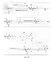 Fig. 16 - Compositions, methods of synthesis and use of carbohydrate targeted agents