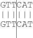Fig. 102 - METHOD AND DEVICE FOR OPTIMIZING A NUCELOTIDE SEQUENCE FOR THE PURPOSE OF EXPRESSION IN A PROTEIN