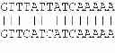 Fig. 136 - METHOD AND DEVICE FOR OPTIMIZING A NUCELOTIDE SEQUENCE FOR THE PURPOSE OF EXPRESSION IN A PROTEIN