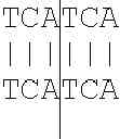 Fig. 83 - METHOD AND DEVICE FOR OPTIMIZING A NUCELOTIDE SEQUENCE FOR THE PURPOSE OF EXPRESSION IN A PROTEIN