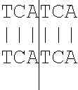 Fig. 85 - METHOD AND DEVICE FOR OPTIMIZING A NUCELOTIDE SEQUENCE FOR THE PURPOSE OF EXPRESSION IN A PROTEIN