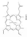Fig. 06 - Methods for synthesizing metal mesoporphyrins