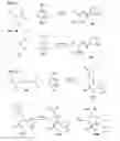 Fig. 02 - PROCESSES OF ENANTIOSELECTIVELY FORMING AN AMINOXY COMPOUND AND AN 1,2-OXAZINE COMPOUND