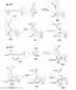 Fig. 03 - PROCESSES OF ENANTIOSELECTIVELY FORMING AN AMINOXY COMPOUND AND AN 1,2-OXAZINE COMPOUND