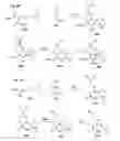 Fig. 04 - PROCESSES OF ENANTIOSELECTIVELY FORMING AN AMINOXY COMPOUND AND AN 1,2-OXAZINE COMPOUND