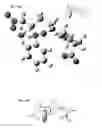 Fig. 12 - PROCESSES OF ENANTIOSELECTIVELY FORMING AN AMINOXY COMPOUND AND AN 1,2-OXAZINE COMPOUND