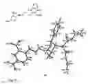 Fig. 16 - PROCESSES OF ENANTIOSELECTIVELY FORMING AN AMINOXY COMPOUND AND AN 1,2-OXAZINE COMPOUND