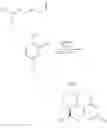 Fig. 53 - PROCESSES OF ENANTIOSELECTIVELY FORMING AN AMINOXY COMPOUND AND AN 1,2-OXAZINE COMPOUND