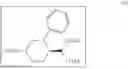Fig. 96 - PROCESSES OF ENANTIOSELECTIVELY FORMING AN AMINOXY COMPOUND AND AN 1,2-OXAZINE COMPOUND