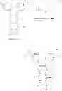 Fig. 41 - Quinoxaline derivative, and light emitting element, light emitting device, and electronic device using the quinoxaline derivative