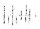 Fig. 09 - BIOLOGICAL METHODS FOR PREPARING A FATTY DICARBOXYLIC ACID