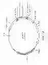 Fig. 19 - BIOLOGICAL METHODS FOR PREPARING A FATTY DICARBOXYLIC ACID