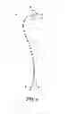 Fig. 06 - System for treating pelvic organ prolapse including a shell and an anchor