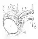 Fig. 08 - Empty reservoir empty of liquid and configured for use with an implantable penile prosthetic