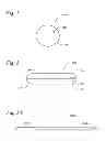Fig. 02 - DIAGNOSTIC CAPSULES, DELIVERY / RETRIEVAL SYSTEMS, KITS AND METHODS
