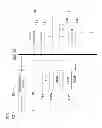 Fig. 07 - ELECTROENCEPHALOGRAM INTERFACE SYSTEM