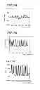 Fig. 16 - ELECTROENCEPHALOGRAM INTERFACE SYSTEM
