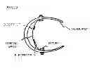 Fig. 23 - ELECTROENCEPHALOGRAM INTERFACE SYSTEM