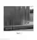 Fig. 08 - Miniaturized implantable electrochemical sensor devices