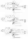 Fig. 08 - Two electrode apparatus and methods for twelve lead ECG