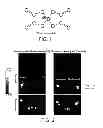 Fig. 02 - IMAGING PROBES, IMAGING SYSTEMS, AND METHODS OF IMAGING