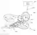 Fig. 01 - Vacuum assisted handheld biopsy device