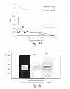 Fig. 25 - INTRACORPOREAL GAS EXCHANGE DEVICES, SYSTEMS AND METHODS