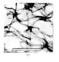 Fig. 02 - COMPOSITE COMPOSITIONS AND APPLICATIONS THEREOF