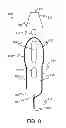 Fig. 07 - Systems, methods, and apparatuses for fusion, stabilization, or fixation of bones