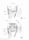 Fig. 06 - Surgical instrument