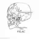 Fig. 07 - Devices, systems and methods for treatment of neuropsychiatric disorders