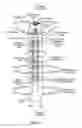 Fig. 05 - Neurostimulation system and method for providing therapy to patient with minimal side effects