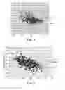 Fig. 04 - PROSTHETIC IMPLANTS FOR TOTAL KNEE ARTHROPLASTY