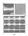 Fig. 09 - TISSUE ENGINEERING DEVICE AND CONSTRUCTION OF VASCULARIZED DERMIS
