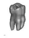 Fig. 02 - Endodontic treatment simulation system