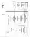 Fig. 08 - Collision avoidance system for rail line vehicles